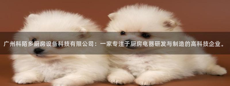 尊龙集团有限公司官网地址