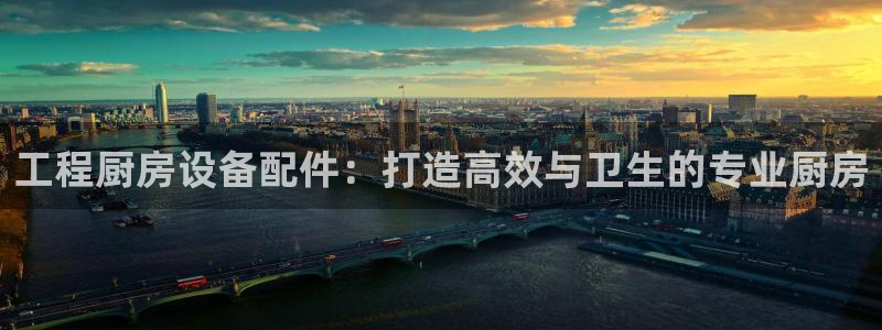 尊龙APP客户端平台：工程厨房设备配件：打造高效与卫生的专业