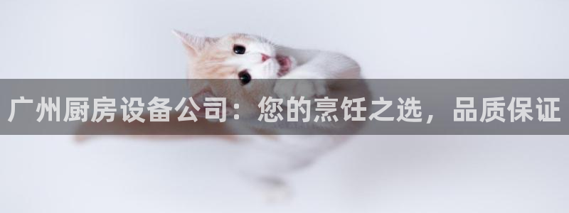 z6com尊龙凯时百家乐下载