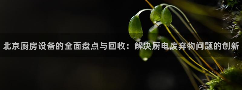 尊龙人生就是博手机版下载