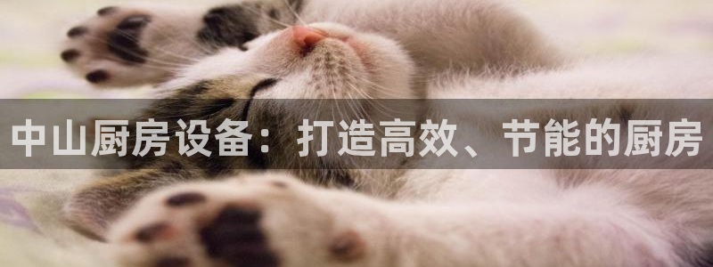 凯时尊龙官网网址