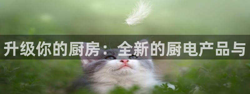 ag旗舰平台尊龙代言