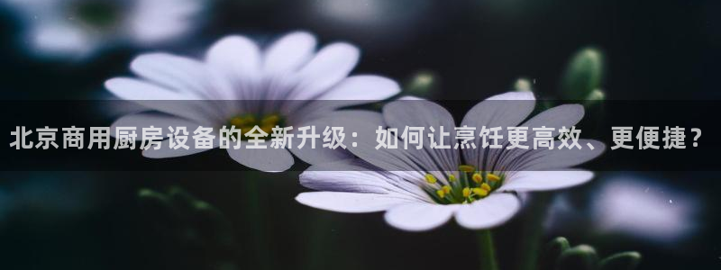 尊龙旗舰店