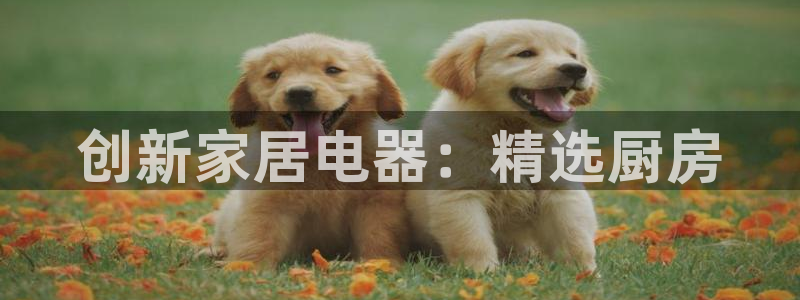 尊龙2021年最新消息