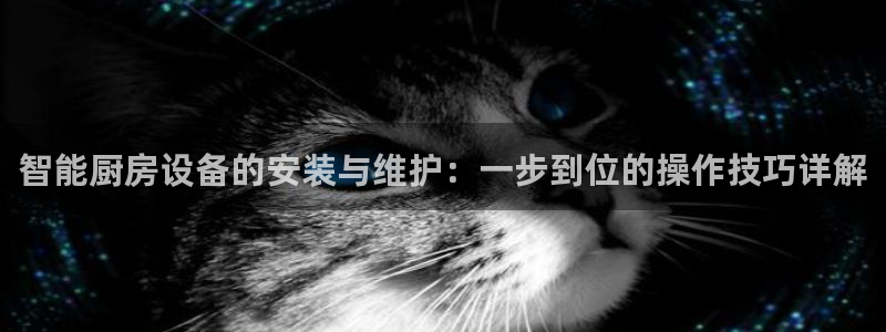 尊龙凯时人生就是搏z6com