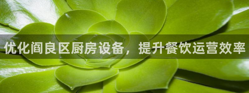 凯时kb88官方：优化阎良区厨房设备，提升餐饮运营效率