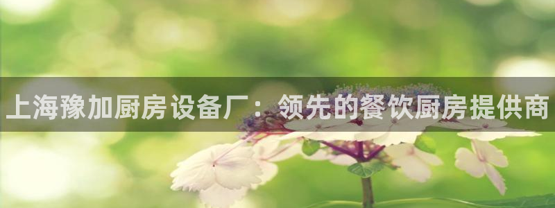 尊龙官网网站：上海豫加厨房设备厂：领先的餐饮厨房提供商