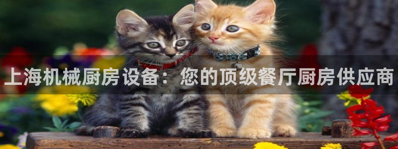 尊龙t300和t400哪