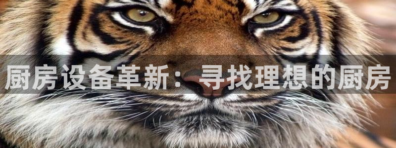 尊龙凯时游戏厅