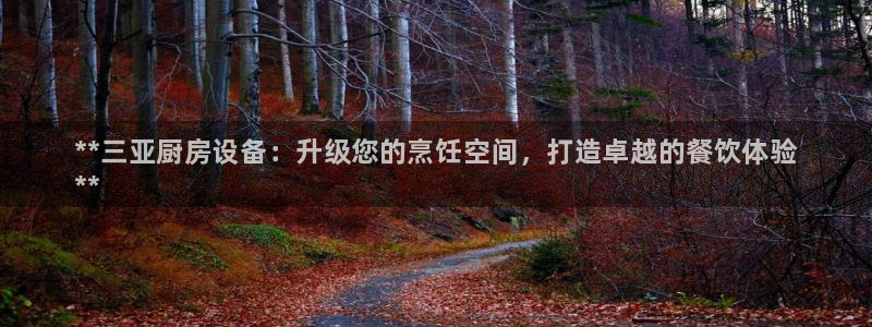 尊龙凯时集团：**三亚厨房设备：升级您的