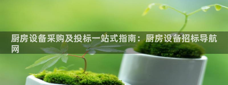 尊龙网站注册站注册：厨房设备采购及投标一站式指南：厨房设备招