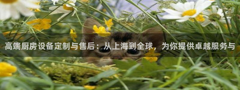 尊龙凯时人生就是博·(中国)官网最新