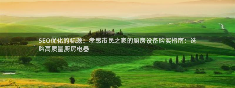 尊龙app登录不了：SEO优化的标题：孝感市民之家的厨房设备