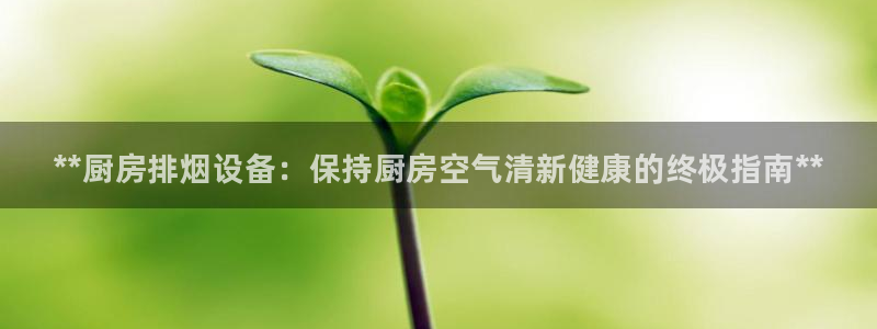 尊龙新版人生就是博!：**厨房排烟设备：保持厨房空气清新健康