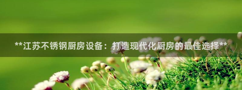 尊龙凯时人生就是博游戏网站：**江苏不锈钢厨房设备：打造现代