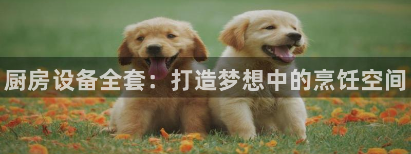 尊龙网站 人生就是博：厨房设备全套：打造梦想中的烹饪空间