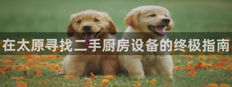 尊龙凯时平台入口：在太原寻找二手厨房设备