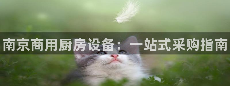 尊龙官网登录·(中国)官方网站-bd SPORTS：南京商用