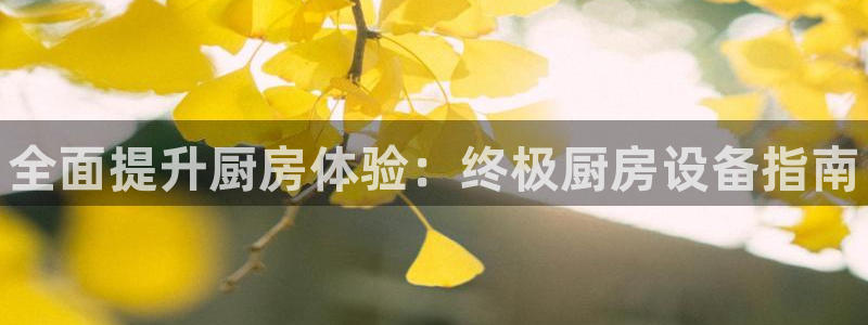 尊龙手机版：全面提升厨房