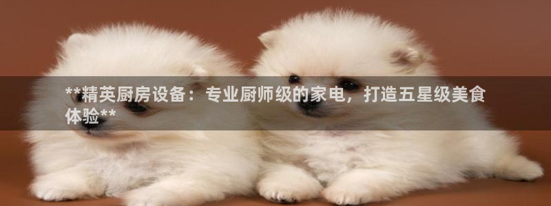 尊龙凯时这个平台怎么样：**精英厨房设备